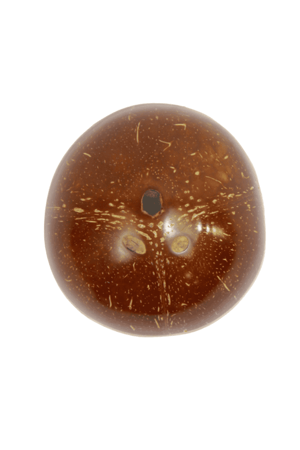 IMG_6026-Photoroom IMG_6026-Photoroom