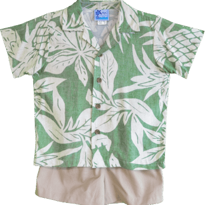 Boy’s 2 Piece Viva Pineapples Clothes Set