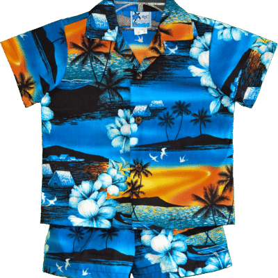 Paradise Toddler Boy’s Clothes 2 Piece Cabana Set