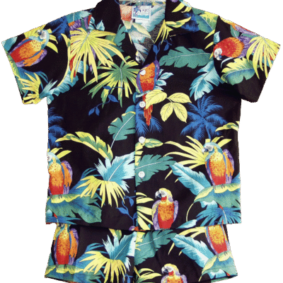 Parrots Paradise Toddler Boy's Clothes 2 Piece Cabana Set