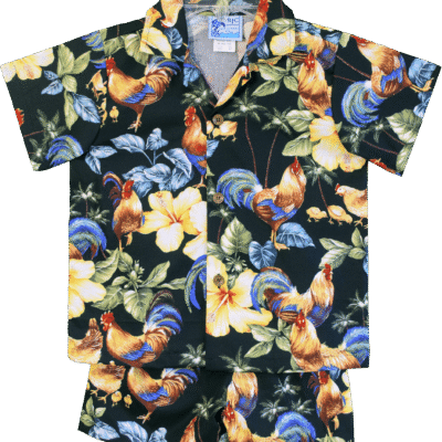 Boy's Rooster Paradise Toddler Boy’s Clothes 2 Piece Cabana Set